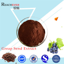 Healthy Care Grape Seed Powder Organic Cosmetic Ingredients